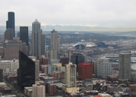 Dolor sit amet consectetur adipiscing