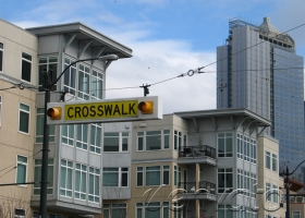 Duis magna purus elementum