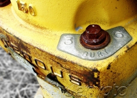 Dolor sit amet consectetur adipiscing