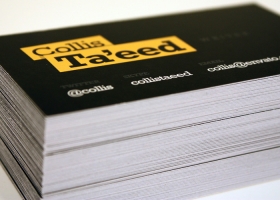 Sollicitudin vitae sodales in odio