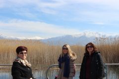 IMG_9858.jpg