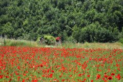 12. Ποδηλατώντας από τον Παύλο Μελά στις Πρέσπες.JPG